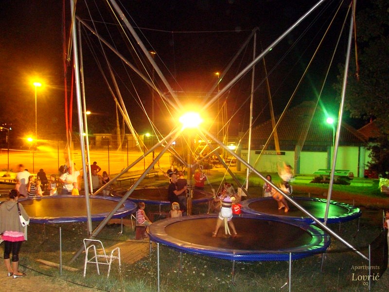 Sport